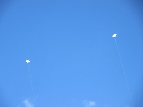 青空に浮かぶ凧がとてもきれいでした！
