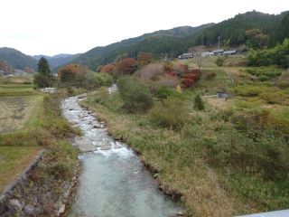 橋から見た風景。上矢作の川はとっても綺麗ですね。