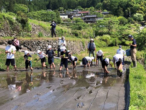 白組は５年生。いざ、勝負。