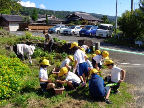 ３年生理科、花の植え替えをしています。