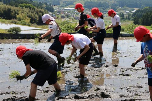 ５年生の領地まで迫ってきましたよ。