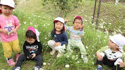 ひよこ組は、公園で花や葉っぱをとって遊びました。