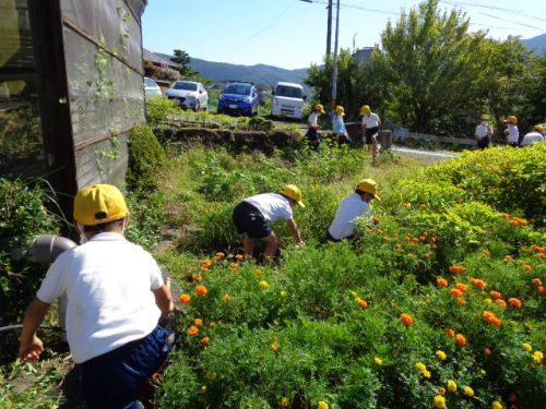 草取りの人たちも仕事キッチリ。