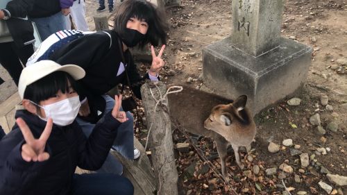 奈良公園の鹿と一緒に、「はいチーズ！」あれ？シャイなのかな？