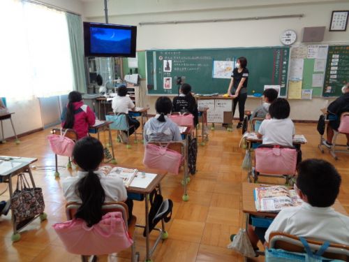 ６年生社会、源平合戦は悲しく切ない物語がいっぱいです。